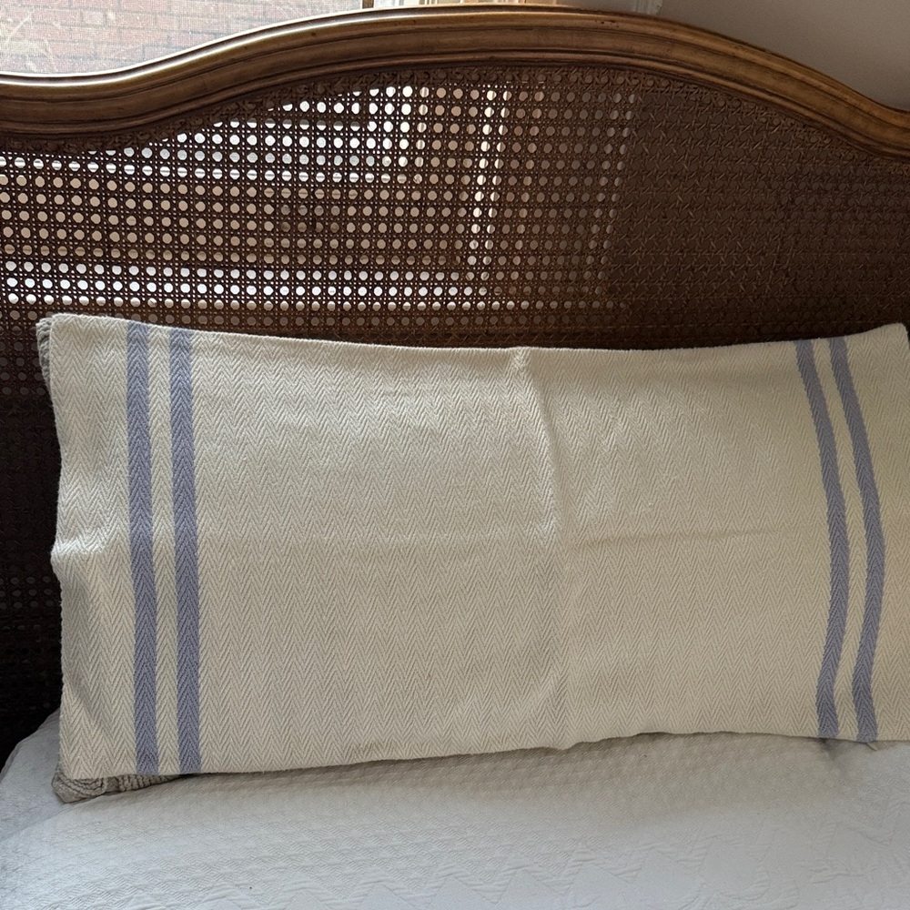 Calvin Klein Elegant  Cream and Blue Striped Pillow Cover